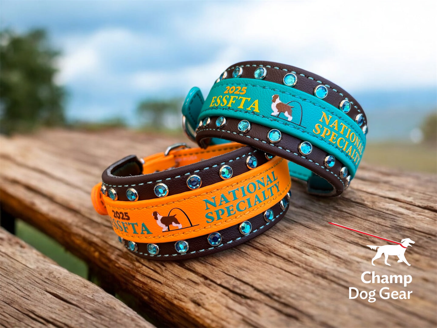 C. 2" ESSFTA Collar - 2025 BioThane® Collar